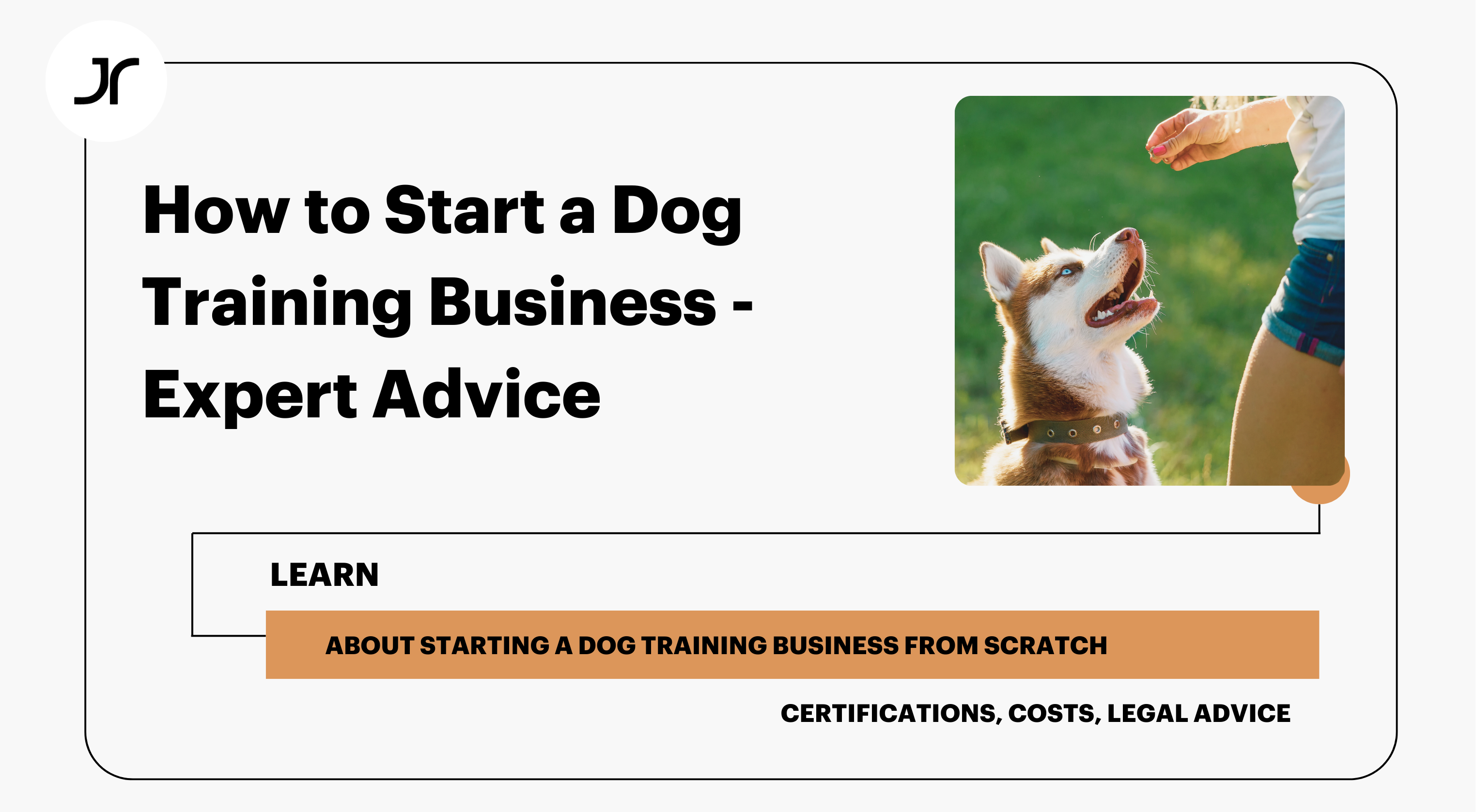 How to start a dog training business